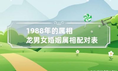 1988年的属相龙男女婚姻属相配对表 1988年属龙男最佳婚配属相