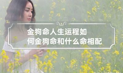 金狗命人生运程如何 金狗命和什么命相配最合适