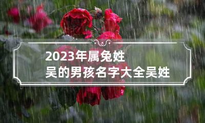 2023年属兔姓吴的男孩名字大全 吴姓兔宝宝取什么名字,女孩特别的