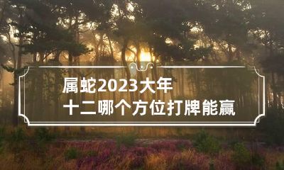 属蛇2023大年十二哪个方位打牌能赢钱