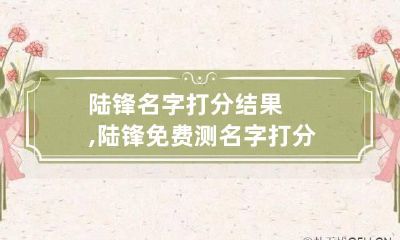 陆锋名字打分结果,陆锋免费测名字打分,陆锋周易免费测名字打分