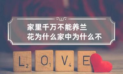 家里千万不能养兰花为什么 家中为什么不能养兰花