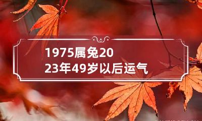 1975属兔2023年49岁以后运气 75属兔2023年运势