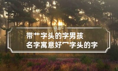 带艹字头的字男孩名字寓意好 冖字头的字有哪些男孩名字