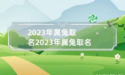 2023年属兔取名 2023年属兔取名宜用五行属什么的字