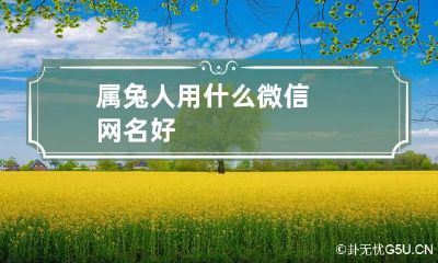 属兔人用什么微信网名好
