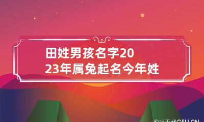 田姓男孩名字2023年属兔起名 今年姓田的男孩取什么名字好