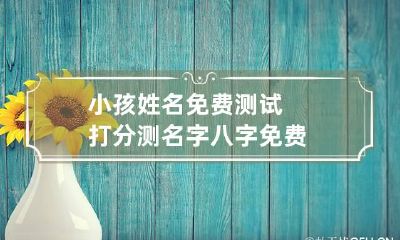 小孩姓名免费测试打分 测名字 八字 免费