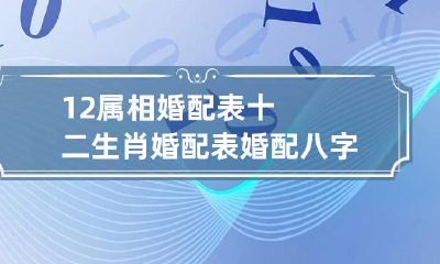 12属相婚配表十二生肖婚配表 婚配八字合婚表免费