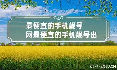 最便宜的手机靓号网 最便宜的手机靓号出售