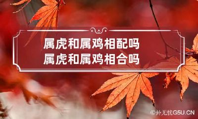 属虎和属鸡相配吗 属虎和属鸡相合吗