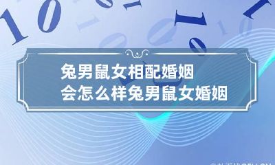 兔男鼠女相配婚姻会怎么样 兔男鼠女婚姻是否相配