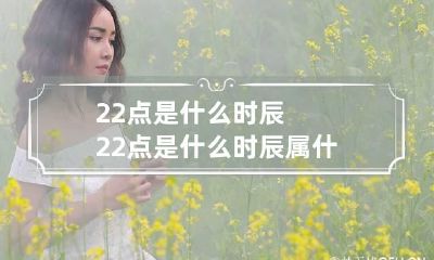 22点是什么时辰 22点是什么时辰属什么