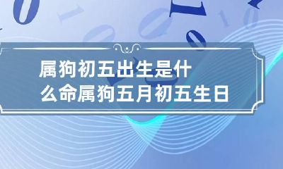 属狗初五出生是什么命 属狗五月初五生日好吗