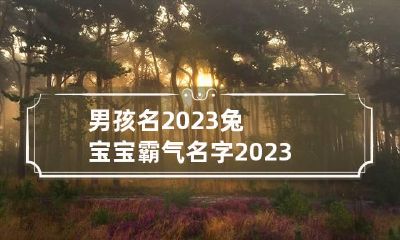 男孩名2023兔宝宝霸气名字 2023年兔宝宝男孩
