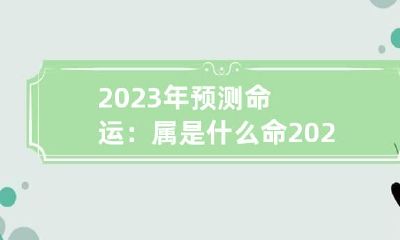 2023年预测命运：属是什么命 2023年是属什么命
