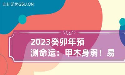 2023癸卯年预测命运：甲木身弱！易得贵人赏识和扶持