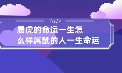 属虎的命运一生怎么样 属鼠的人一生命运如何