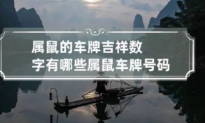 属鼠的车牌吉祥数字有哪些 属鼠车牌号码幸运数字