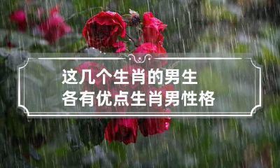 这几个生肖的男生各有优点 生肖男性格