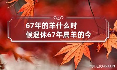 67年的羊什么时候退休 67年属羊的今年几岁了