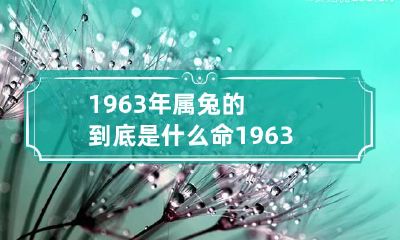 1963年属兔的到底是什么命 1963年的兔是什么命