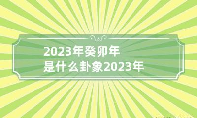 2023年癸卯年是什么卦象 2023年癸卯年八卦图