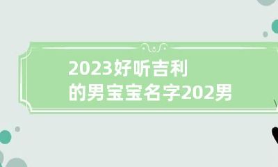 2023好听吉利的男宝宝名字 202男孩子名字