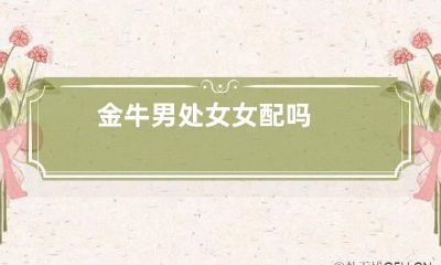 金牛男处女女配吗