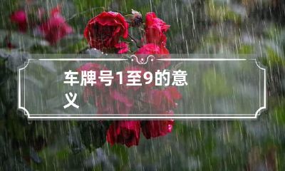 车牌号1至9的意义