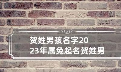 贺姓男孩名字2023年属兔起名 贺姓男宝宝取名大全