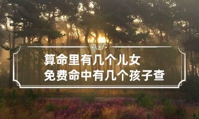算命里有几个儿女免费 命中有几个孩子查询表免费