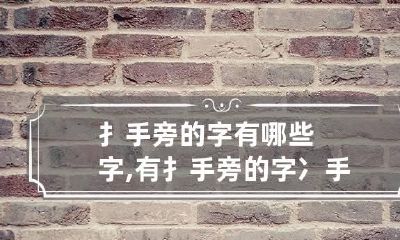 扌手旁的字有哪些字,有扌手旁的字 冫手旁的字有哪些