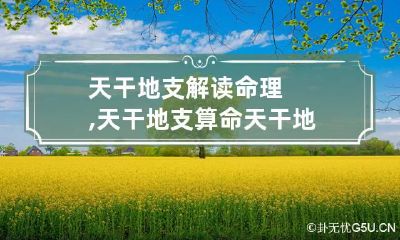 天干地支解读命理,天干地支算命 天干地支命理对照表