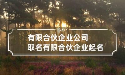 有限合伙企业公司取名 有限合伙企业起名规范