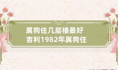 属狗住几层楼最好吉利 1982年属狗住几层楼最好吉利