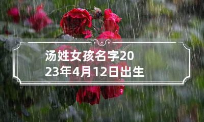 汤姓女孩名字2023年4月12日出生的