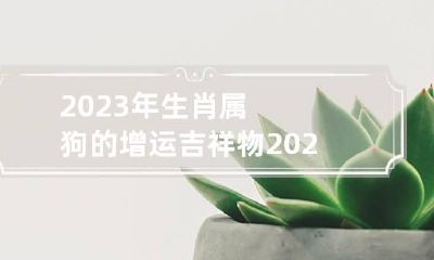 2023年生肖属狗的增运吉祥物 2023年生肖属狗的增运吉祥物有哪些