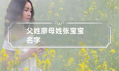 父姓廖母姓张宝宝名字
