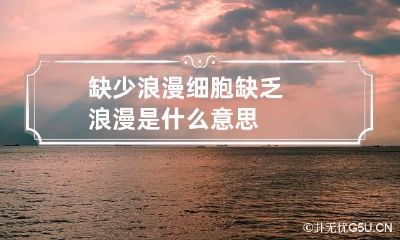 缺少浪漫细胞 缺乏浪漫是什么意思