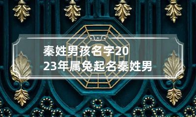 秦姓男孩名字2023年属兔起名 秦姓男孩名字2023年属兔起名怎么取