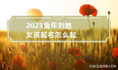 2023兔年刘姓女孩起名怎么起
