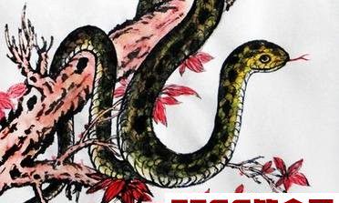 恭喜3生肖！明年贵子来，全家喜笑颜开，财神来，横财一发百来万