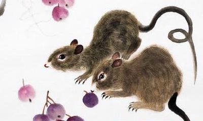 这3大生肖2018运势瞬间变好，升职加薪，添丁添财喜事不断！