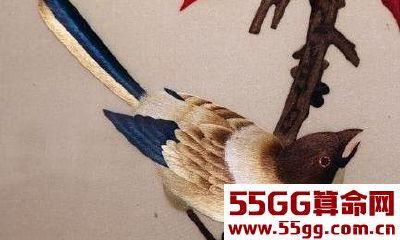 狗年喜鹊登门送3喜：1菩萨送平安，2观音送子，3财神送财的生肖！