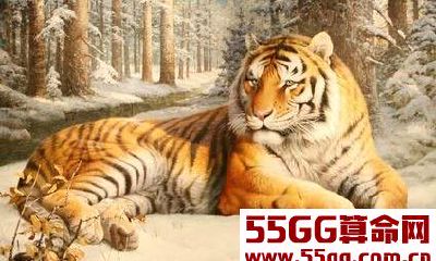 2018年春风满面的生肖，发财比别人更容易！