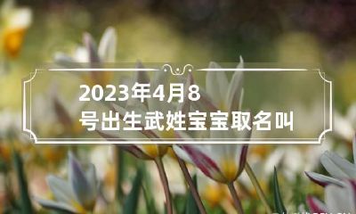 2023年4月8号出生武姓宝宝取名叫什么 2023年4月8日农历多少