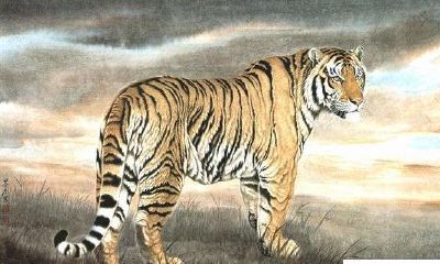 恭喜了！这三个生肖2018家有喜事，无病无灾，有房有车