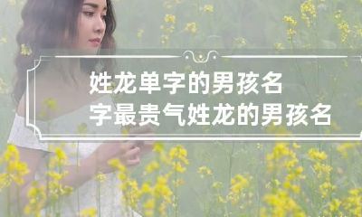 姓龙单字的男孩名字最贵气 姓龙的男孩名字单名