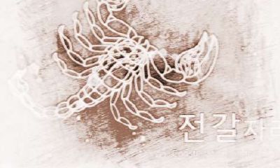 天蝎座男配对星座女哪个最相配